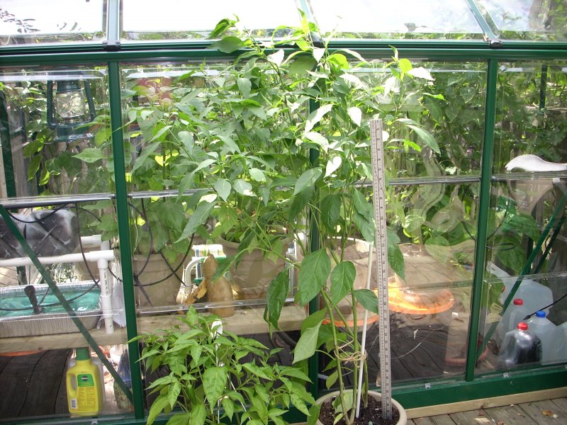 GH vs Elements 026.JPG