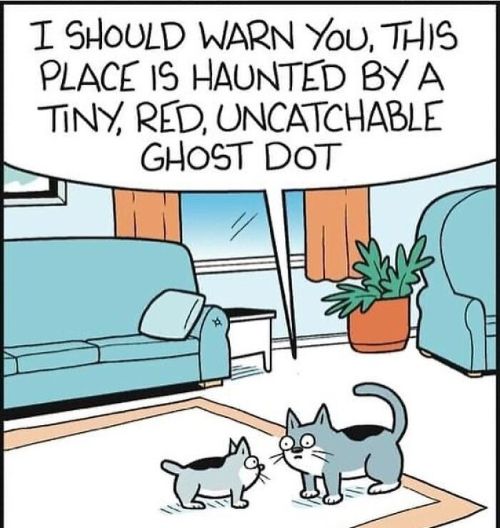 Ghost Dot.jpg