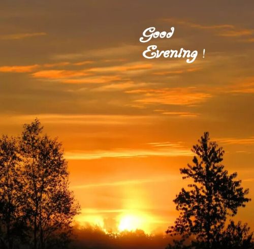 Good evening 1.jpg