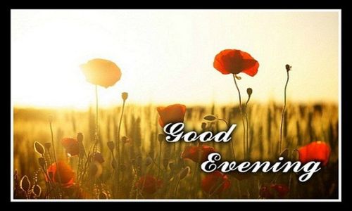 Good evening.jpg