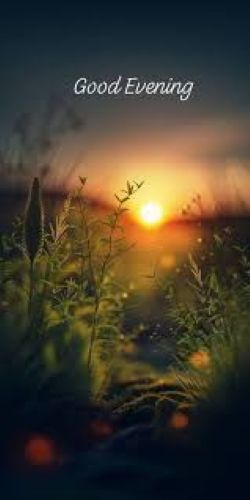 Good evening.jpg