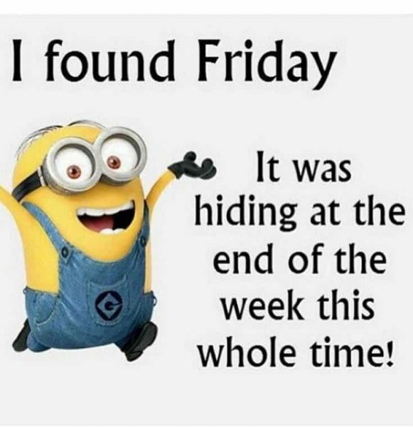 Good-Morning-Friday-Funny-Images-And-Quotes-Twitter-2.jpg
