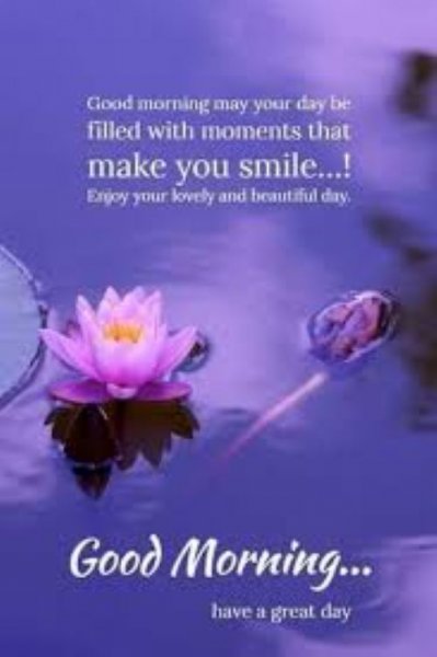 Good morning purple.jpg