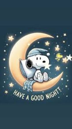 Good night 1.jpg
