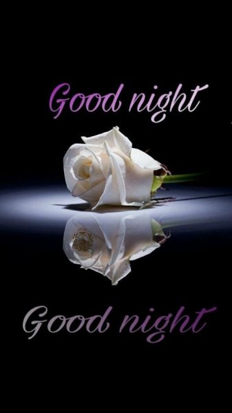 Good Night.jpg