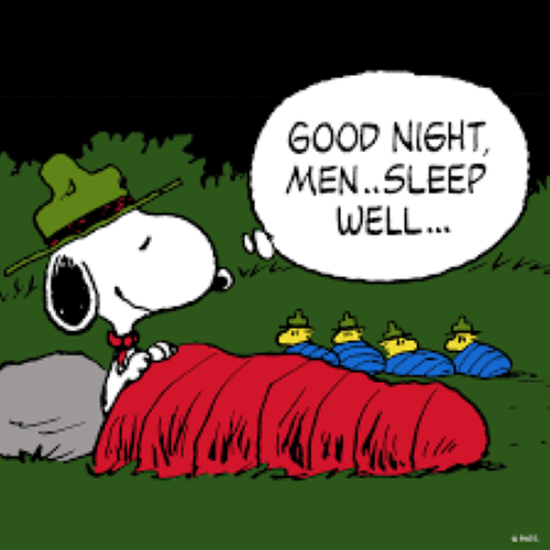 Good Night Men.png