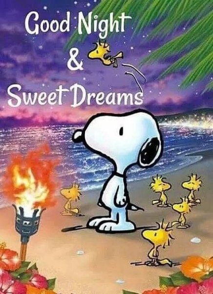 Good night Snoopy.jpg