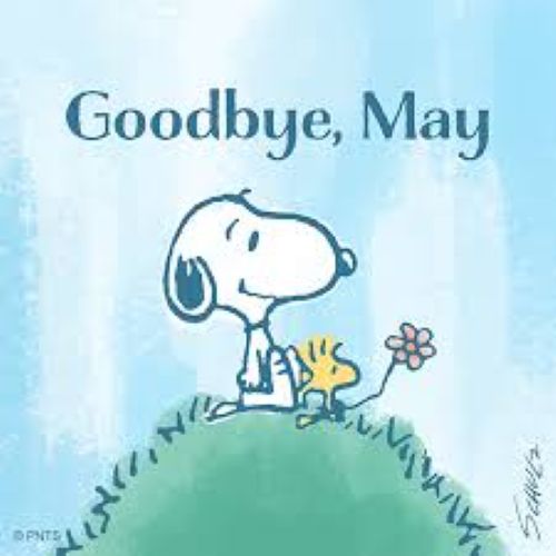 Goodbye May.jpg