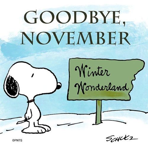 Goodbye November.jpg