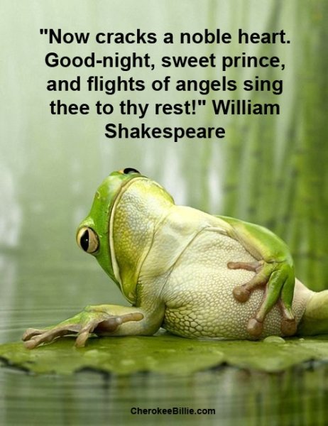 goodnight-quotes-for--wishing-your-worries-will-all.jpg