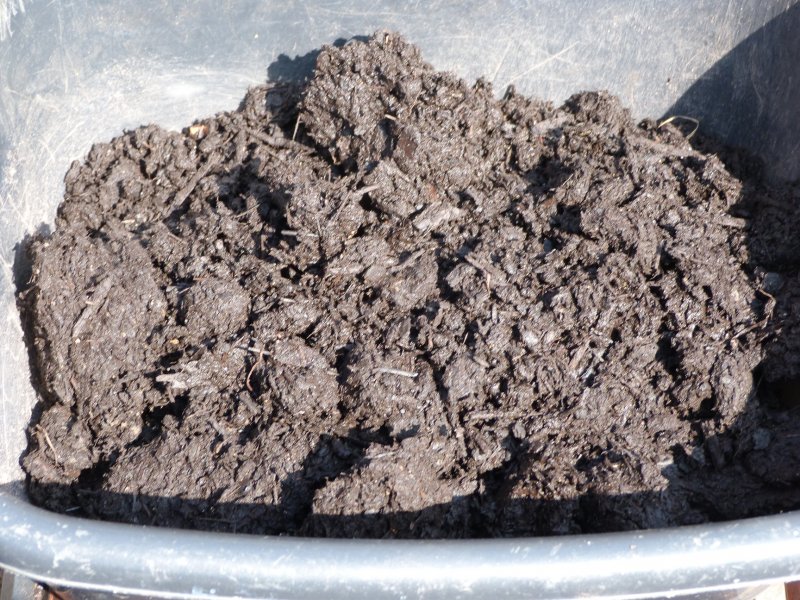 Grandiol and Grandiol with sand and grit 4 March 2013.jpg