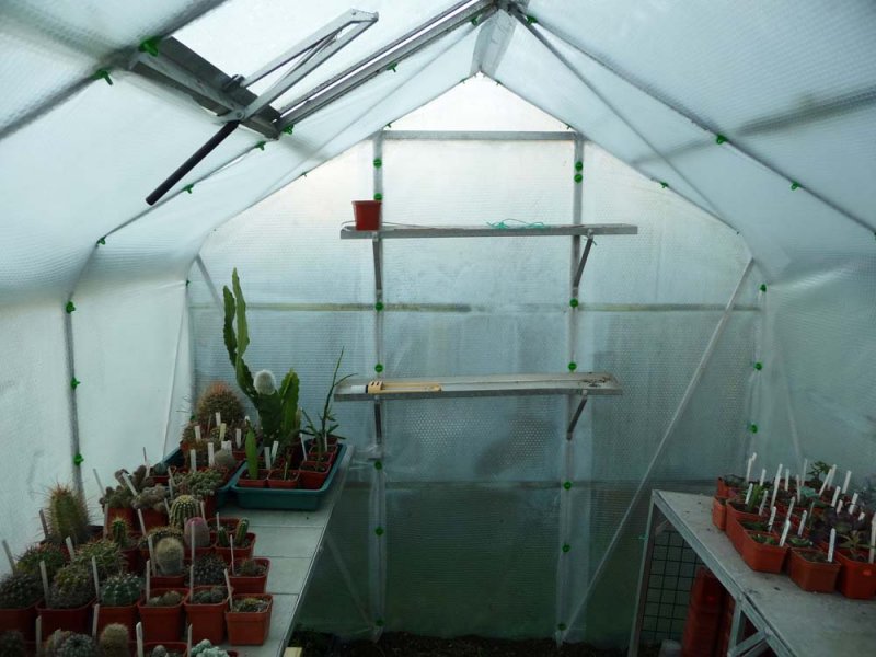 GreenHouse-1.jpg
