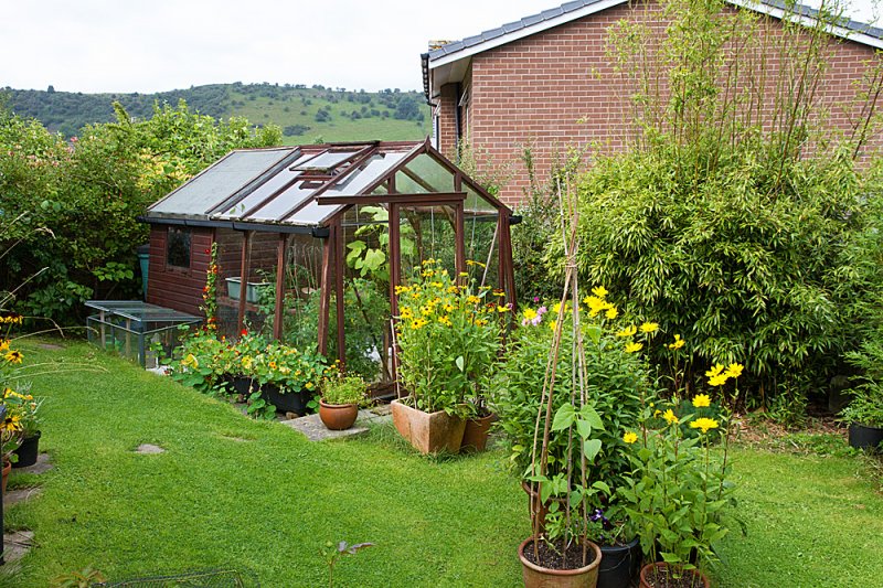 Greenhouse-&-Bamboo.jpg