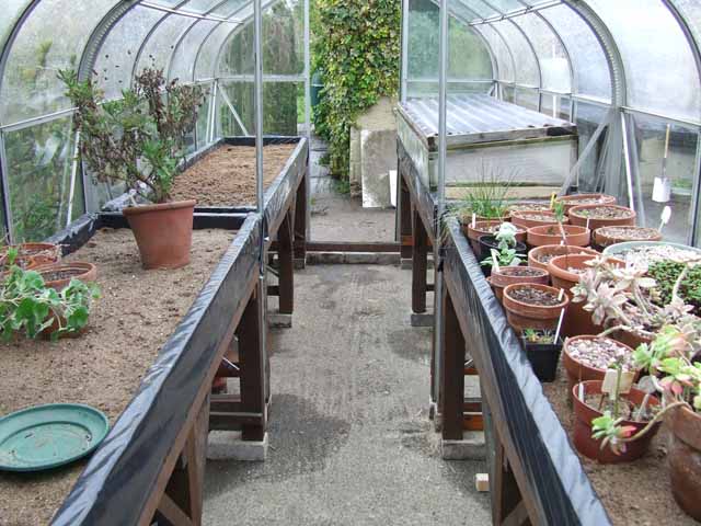 Greenhouse.jpg