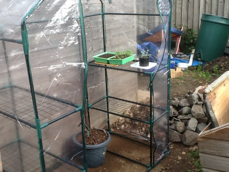 Greenhouse oct 17.jpeg