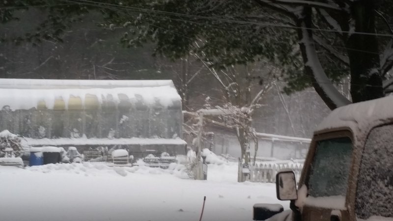 greenhouse snow.jpg
