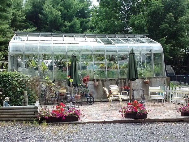 greenhouse1 (2)q.jpg