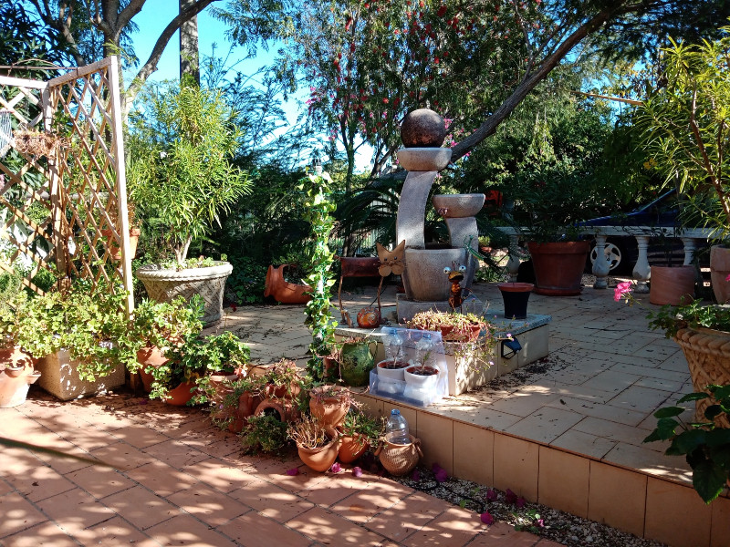 Greenhouse2 13 Nov 21.jpg