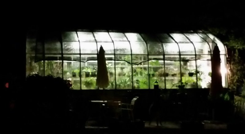greenhouse2.jpg
