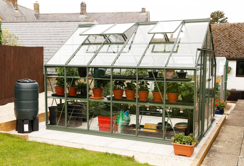 Greenhouse3 2000.jpg