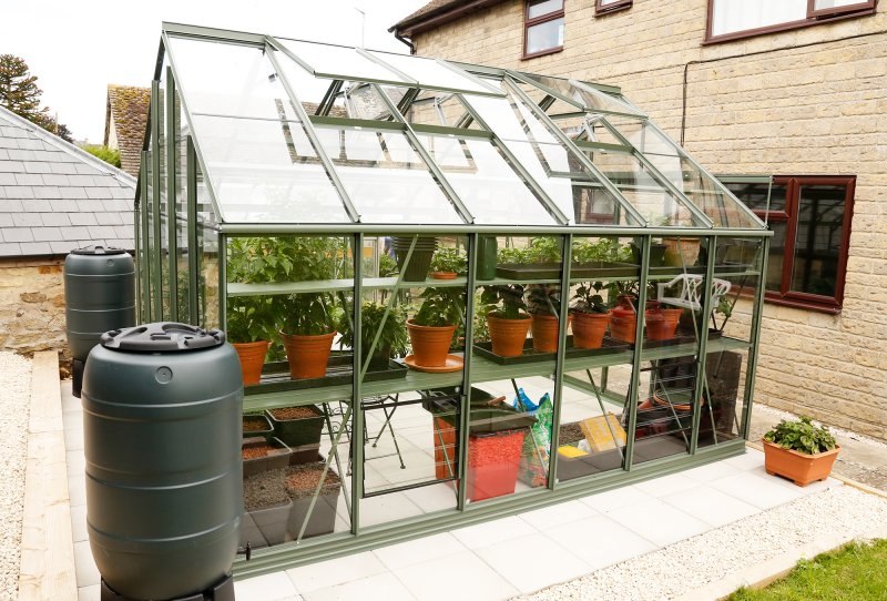 Greenhouse4 2000.jpg