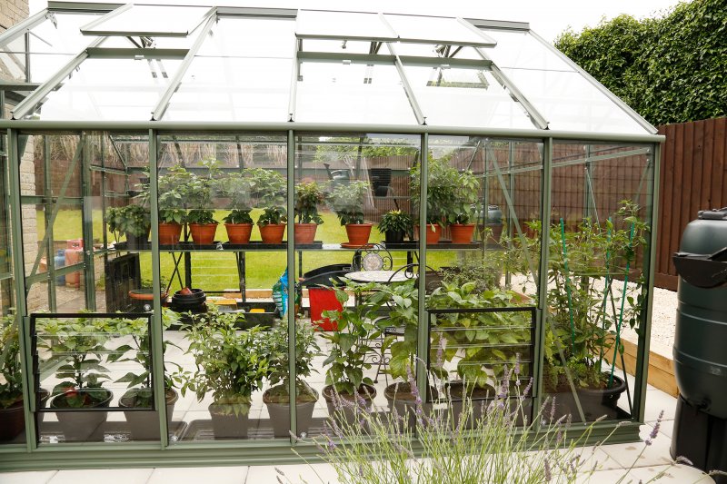 Greenhouse5 2000.jpg