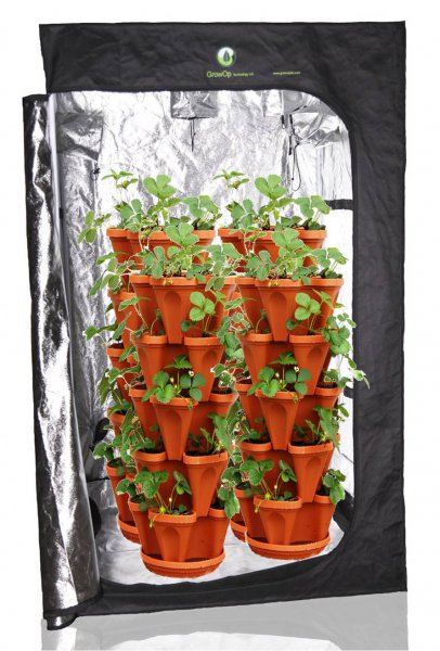 Grow-Tent.jpg