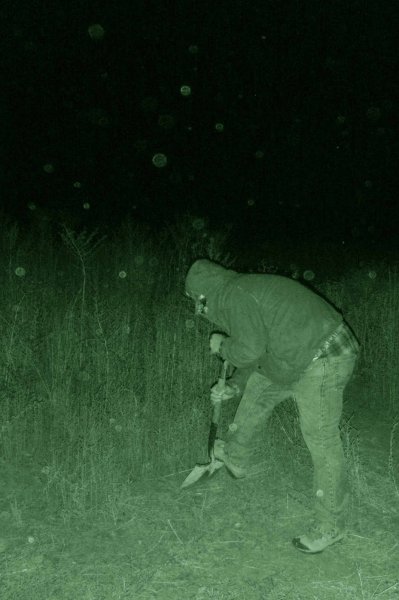 guerilla gardening at night.jpg