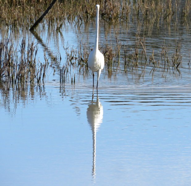 GWE 1.JPG
