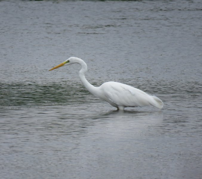 GWE 1.JPG
