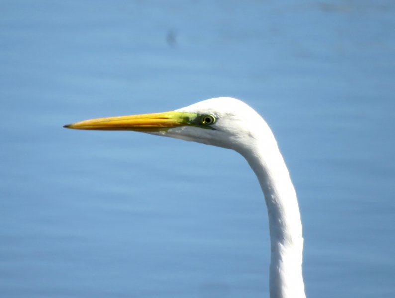GWE 1.JPG