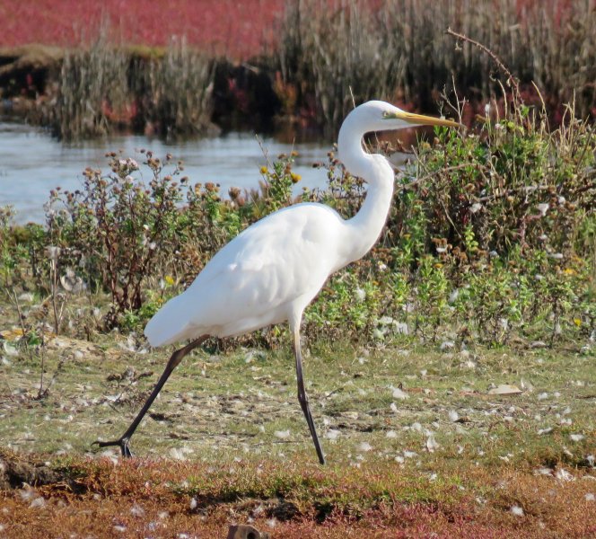 GWE 1.JPG