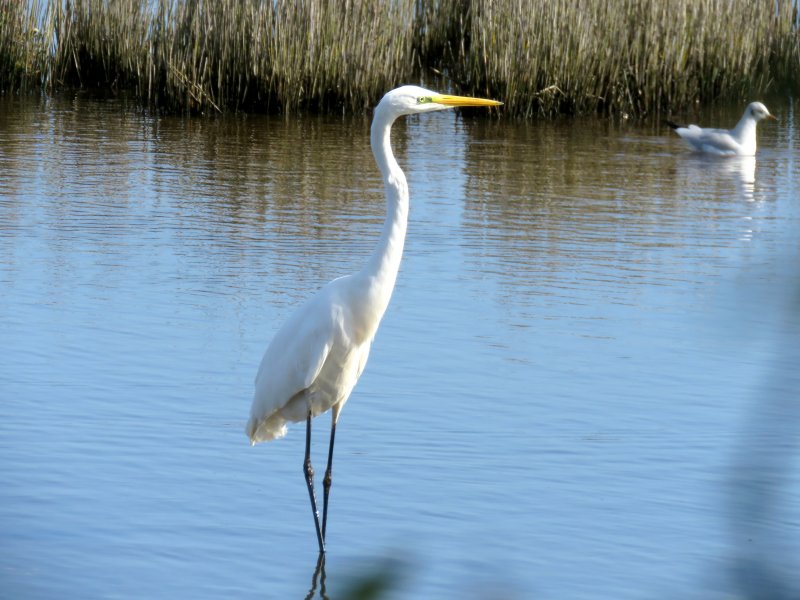 GWE 2.JPG