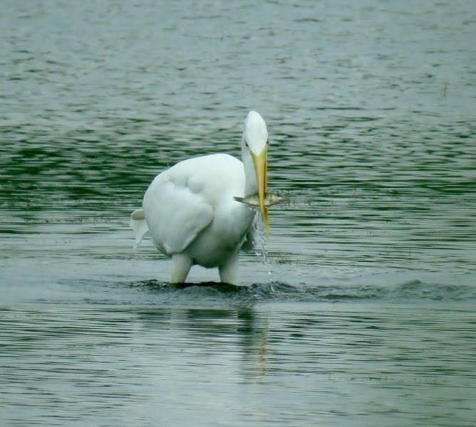 GWE 3.JPG