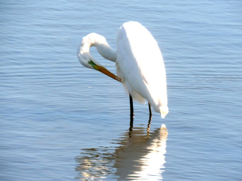 GWE 3.JPG