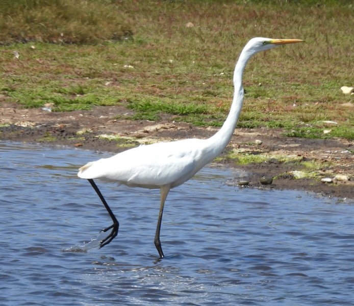 GWE 3.JPG