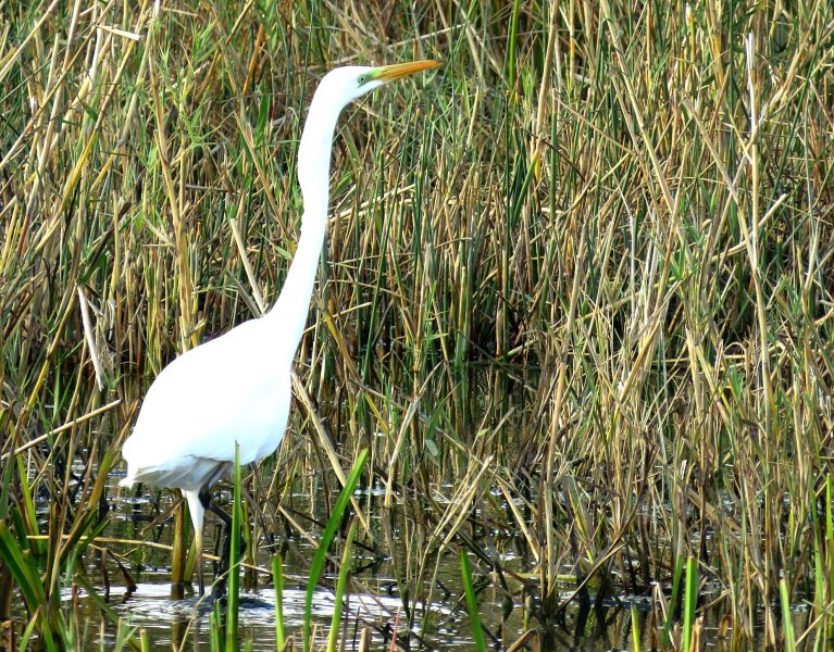 GWE3.jpg