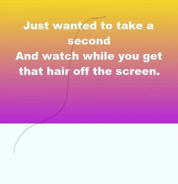 Hair on screen.jpg