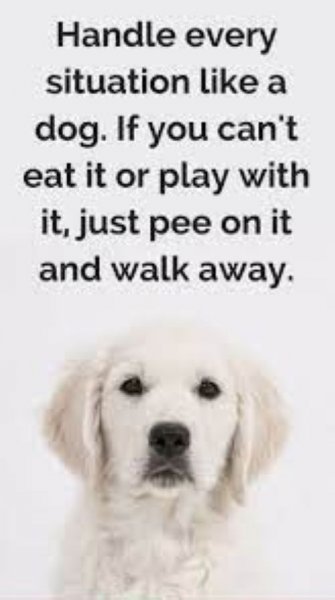 Handle like a dog.jpg