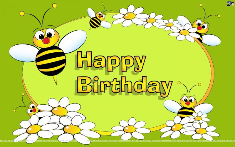 happy-birthday-bees-graphic.jpg
