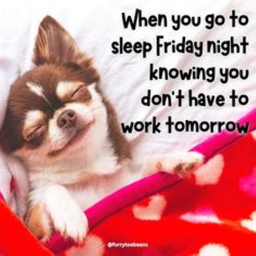 Happy Friday Evening.jpg