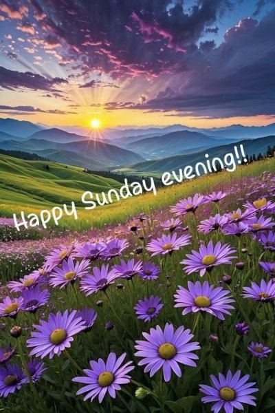 Happy Sunday Evening.jpg