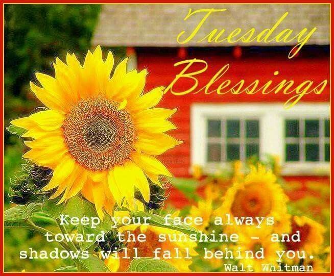 -happy-tuesday-morning-happy-tuesday.jpg