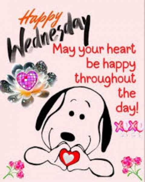 Happy Wednesday.jpg