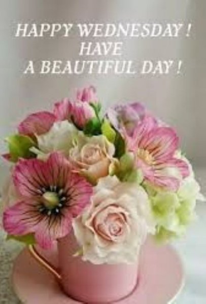 Happy Wednesday.jpg