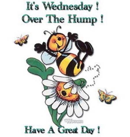 happy-wednesday-wednesday-hump-day.jpg