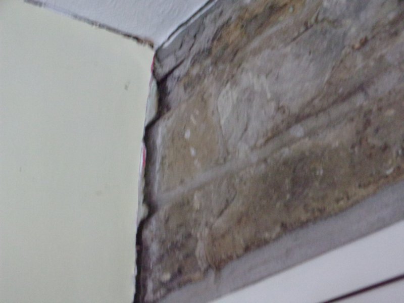 Heat damage_0010.JPG