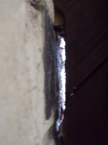 Heat damage_0011.JPG