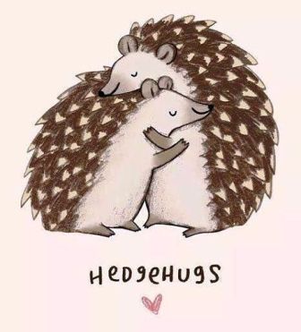 Hedgehugs.jpg