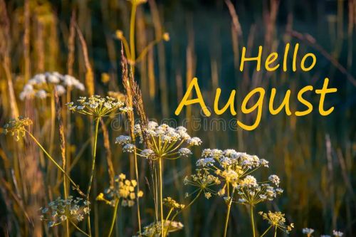 Hello August.jpg